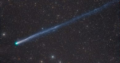 La comète Lemmon est visible à l’œil nu !