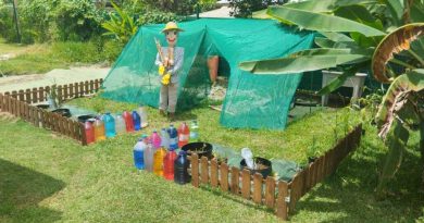 La crèche Les Enfants Terribles :  30 ans au service de la petite enfance