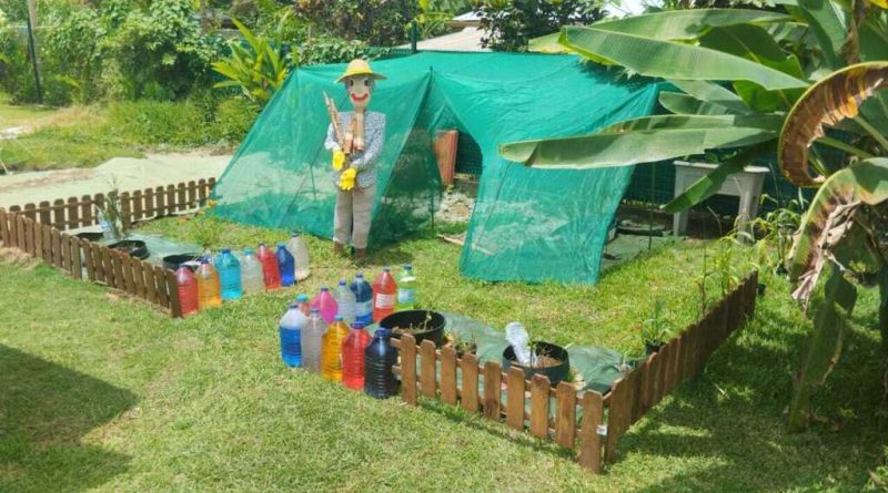 La crèche Les Enfants Terribles :  30 ans au service de la petite enfance