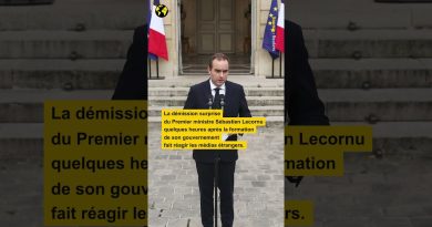 La démission de Sébastien Lecornu : réactions de la presse internationale