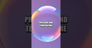 Le Code Secret des Bulles Silencieuses de l'Océan