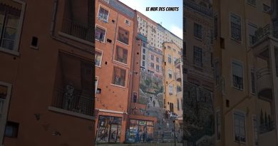 Le Mur des Canuts : Chef-d'œuvre du street art à Lyon