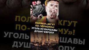 Le charbon de Varsovie étouffe l'Europe : un cri d'alarme