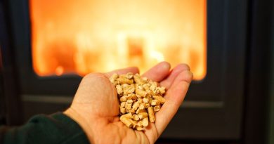 Le chauffage au bois est moins polluant et reste plus économique - ici