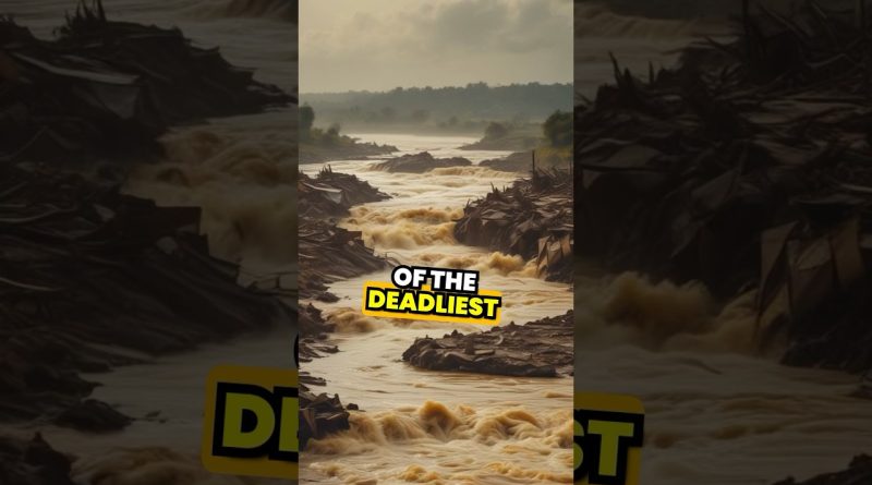 Le déluge de 1887 du fleuve Jaune : une tragédie oubliée