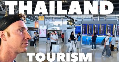 Thailand's Tourism Crash: What You Need to Know Le ralentissement du tourisme en Thaïlande : décryptage des chiffres