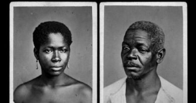 Le sucre : une mémoire coloniale et une amnésie contemporaine