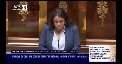 Léa Balage El Mariky à Sébastien Lecornu : 'La censure s'impose'