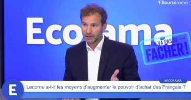 Lecornu peut-il booster le pouvoir d'achat des Français ?