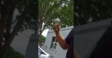 L'entretien d'embauche le plus rapide du monde