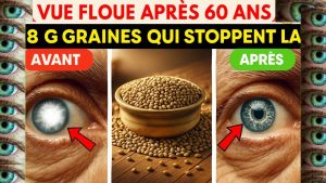 Les 8 Graines Clés pour Prévenir la Dégénérescence Maculaire
