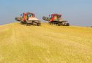 Les biocarburants émettent plus de CO2 que les fossiles qu’ils remplacent: “Une très mauvaise solution climatique”