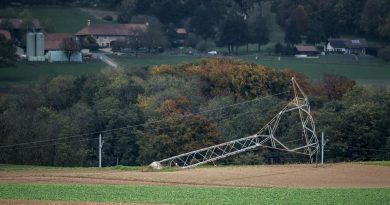 Les fortes rafales de la tempête Benjamin ont surtout causé la chute d'arbres en Suisse romande | RTS