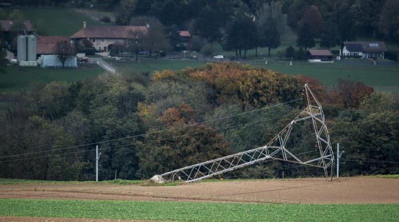 Les fortes rafales de la tempête Benjamin ont surtout causé la chute d'arbres en Suisse romande | RTS