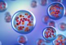 Les pathologies infectieuses hors MDO