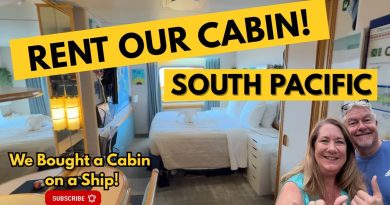 🌴 Experience an Unforgettable Adventure aboard the Villa Vie Odyssey! 🛳️ Louez notre cabane à bord du Villa Vie Odyssey ! 🌊