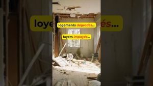 Loyers impayés : la loi renforce la protection des propriétaires