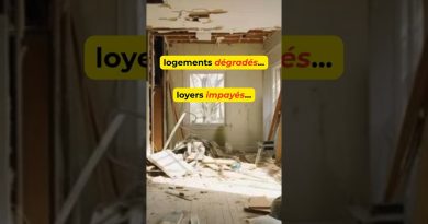 Loyers impayés : la loi renforce la protection des propriétaires