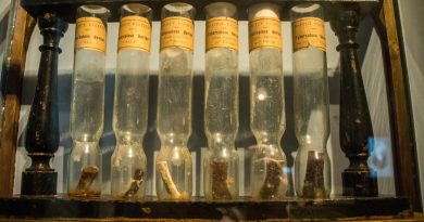 À la découverte de la recherche avec la Dr. Carine Rouanet de l'Institut Pasteur de Lille