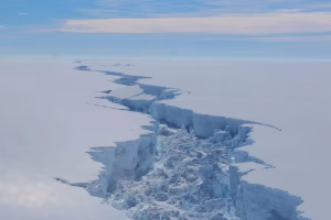 Majorité des plateformes glaciaires de l’Antarctique menacées par le réchauffement climatique