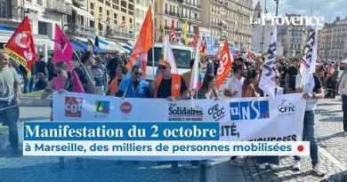 Manifestation du 2 octobre : à Marseille, des milliers de personnes mobilisées