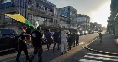 Marche Trop'Violans : "Justice pour Flora Sommier"