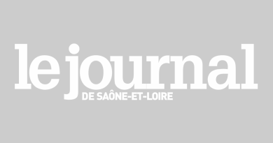 Marmagne. Ces chiens et chats du refuge en attente d’adoption