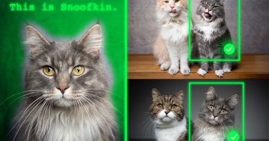 Method teaches generative AI models to locate personalized objects