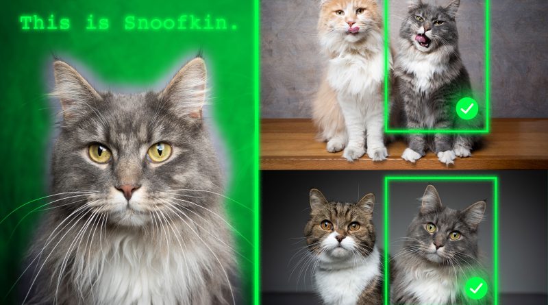 Method teaches generative AI models to locate personalized objects