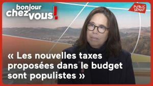 Micheline Jacques : « Les nouvelles taxes du budget sont populistes »