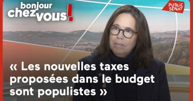 Micheline Jacques : « Les nouvelles taxes du budget sont populistes »