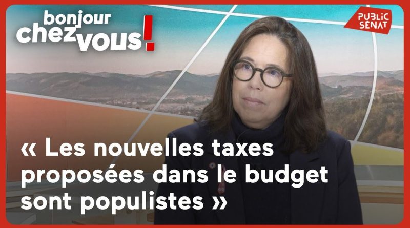 Micheline Jacques : « Les nouvelles taxes du budget sont populistes »