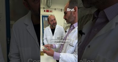 🦠 Microbiote : Les bactéries qui nous défendent !