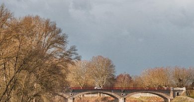 Pays de la Loire, Nantes, Angers, Loire river, castle, vineyard, coast, landscape