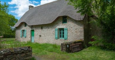 Pays de la Loire, Nantes, Angers, Loire river, castle, vineyard, coast, landscape