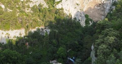Pays de la Loire, Nantes, Angers, Loire river, castle, vineyard, coast, landscape