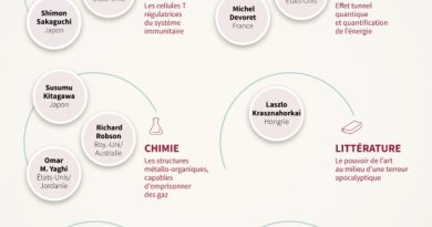 Nobel d'économie: intelligence artificielle ou écart de richesse pour clore la saison 2025