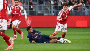 illustration agrandir l