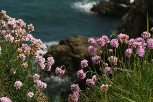 Bretagne, Rennes, Brest, coast, lighthouse, beach, village, Celtic, cliffs, landscape
