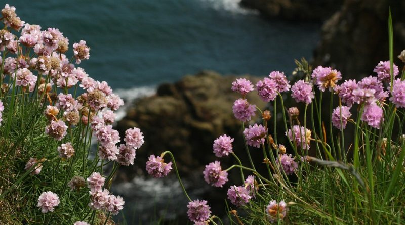 Bretagne, Rennes, Brest, coast, lighthouse, beach, village, Celtic, cliffs, landscape