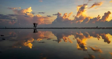 job, job offer, hiring, recruitment, business, office, career, application, resume