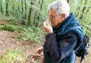 « On se croirait vraiment face à une maison des Schtroumpfs » : dans les pas de Philippe Rioux, spécialiste des champignons (mais pas que les bons !)