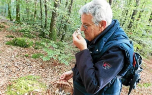 « On se croirait vraiment face à une maison des Schtroumpfs » : dans les pas de Philippe Rioux, spécialiste des champignons (mais pas que les bons !)