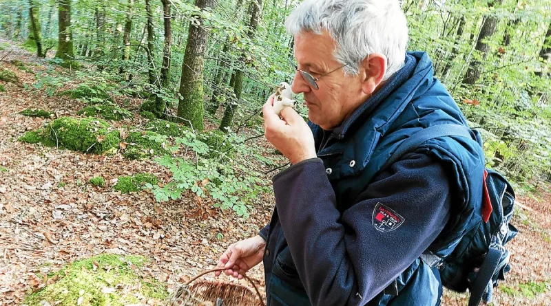 « On se croirait vraiment face à une maison des Schtroumpfs » : dans les pas de Philippe Rioux, spécialiste des champignons (mais pas que les bons !)