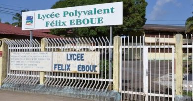 Pas de grève demain au lycée Félix-Éboué
