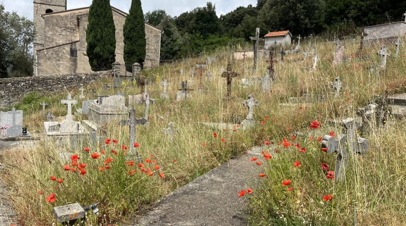 Pensons à nos morts - Le blog des Poggiolais