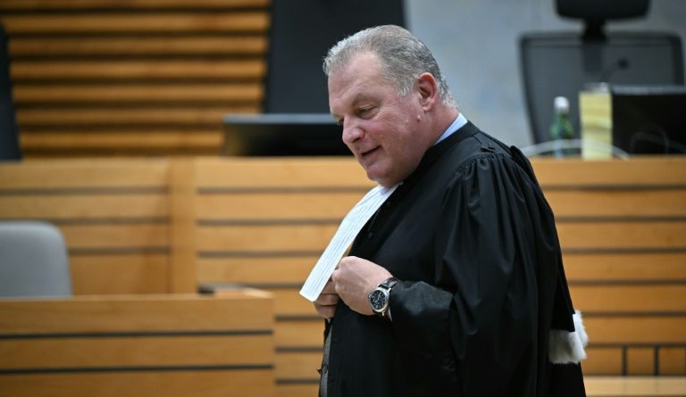 Plaidoiries des avocats des proches de Delphine Jubillar après d'ultimes dénégations de son mari