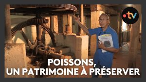 Poissons : un an après les inondations, un patrimoine à sauver