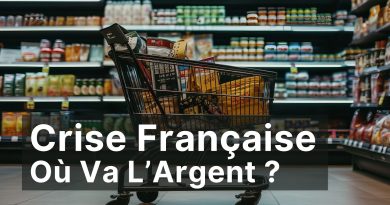 Pouvoir d'Achat : Dix Ans de Chute en France