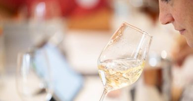 Près de 150 jurés pour plus de 3000 crus dégustés: immersion au cœur du jury du Grand Prix du vin suisse - Le Temps